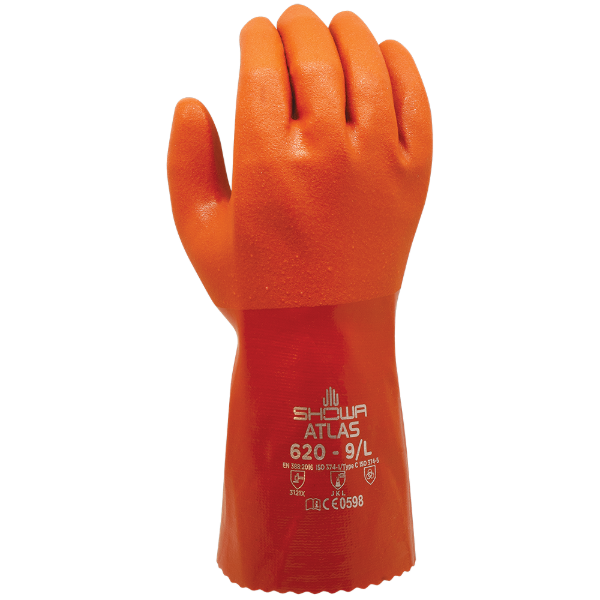 SHOWA_ATLAS-620_2023-WEB.png