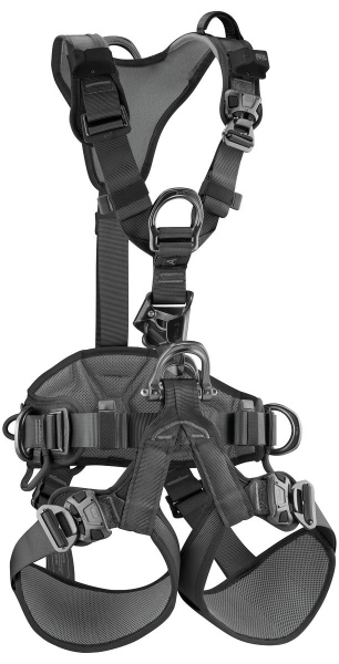 306236.jpg