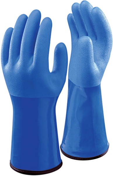 405593.jpg