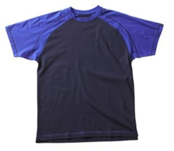 401704.jpg