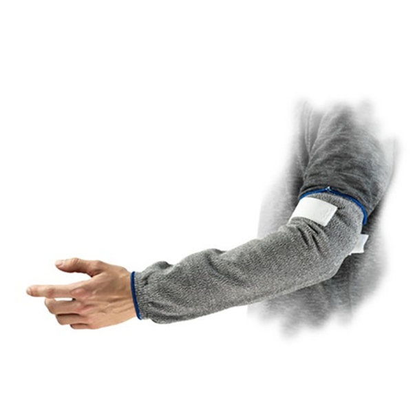 403480.jpg